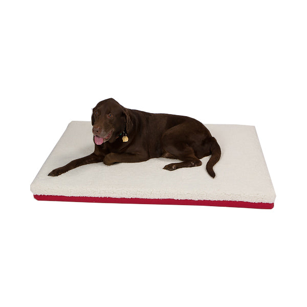 Pet Support Systems Organic Latex Orthopedic Dog Bed