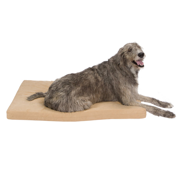 Gel memory foam outlet dog bed