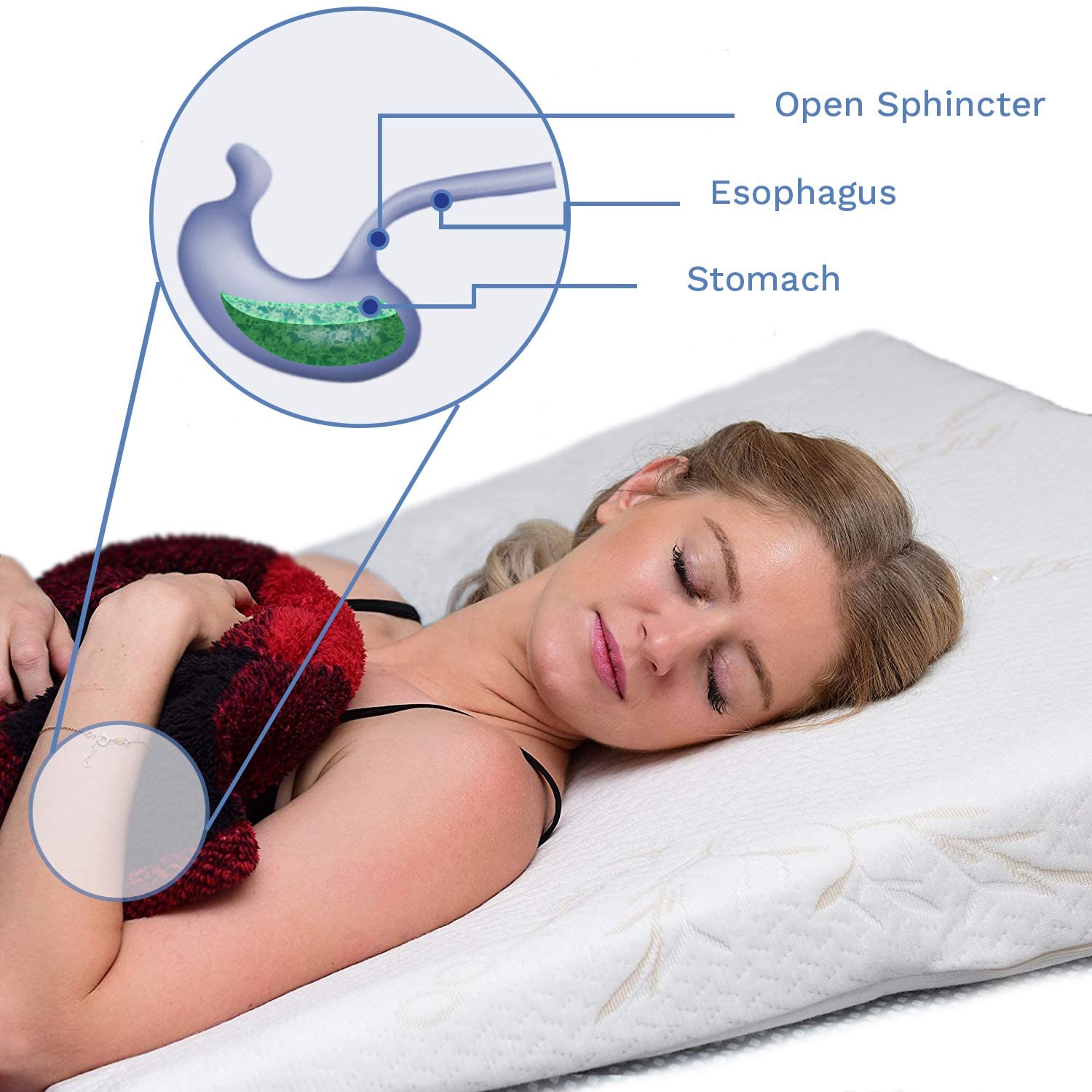 Wedge Pillow for Acid Reflux Prevention and Other Types of Indigestion Sitting and Sleeping by Back Support Systems ARW 24