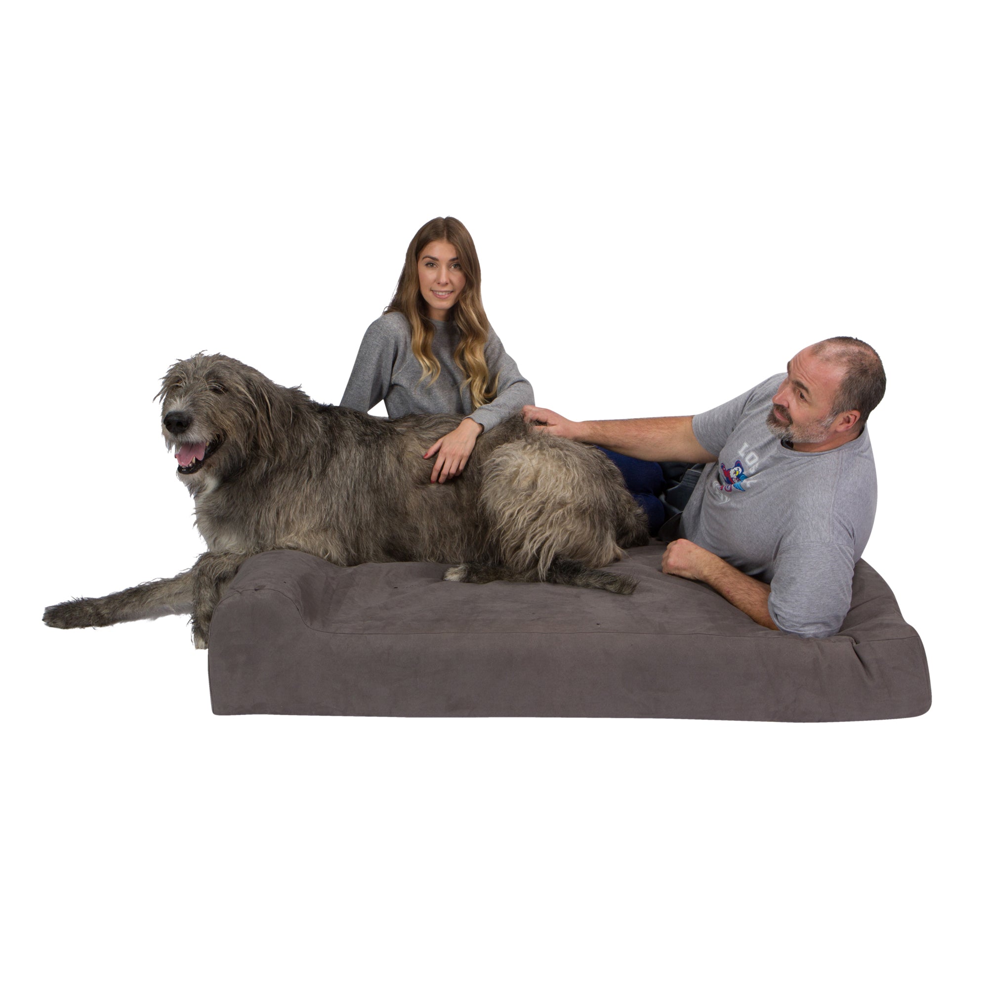 Pet Support Systems Lucky Dog Orthopedic 7" Memory Foam Dog Bed with Bolster - REFURBISHED