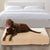 Pet Support Systems Lucky Dog Orthopedic 7